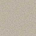 HOMOGENOUS/SHEET VINYL: Accolade Plus