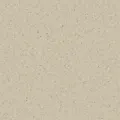 HOMOGENOUS/SHEET VINYL: Accolade Plus