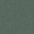 HOMOGENOUS/SHEET VINYL: Accolade Plus