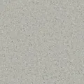 HOMOGENOUS/SHEET VINYL: Accolade Plus