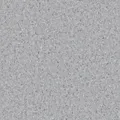 HOMOGENOUS/SHEET VINYL: Accolade Plus
