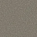 HOMOGENOUS/SHEET VINYL: Accolade Plus