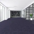 Dynamic - Airlay
