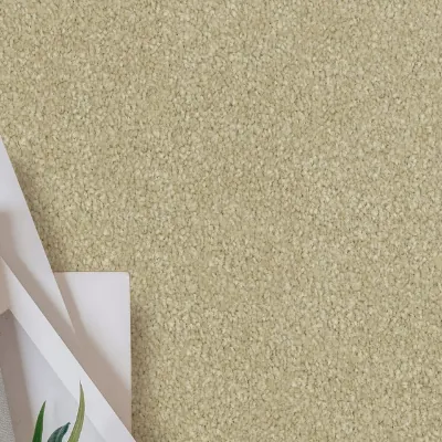 Polyester Carpet showcase by Jim's Flooring.
