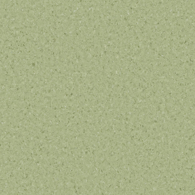 HOMOGENOUS/SHEET VINYL: Accolade Plus