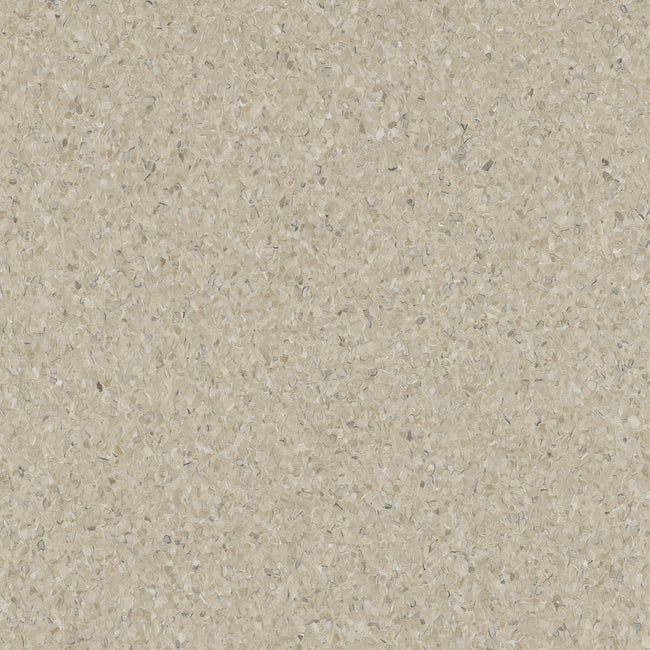HOMOGENOUS/SHEET VINYL: Accolade Plus