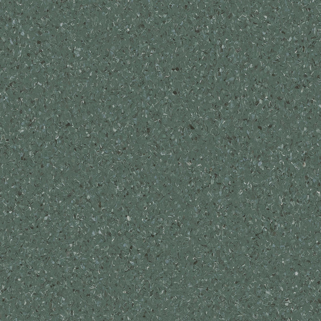 HOMOGENOUS/SHEET VINYL: Accolade Plus