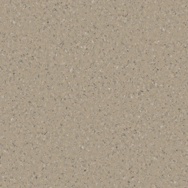 HOMOGENOUS/SHEET VINYL: Accolade Plus