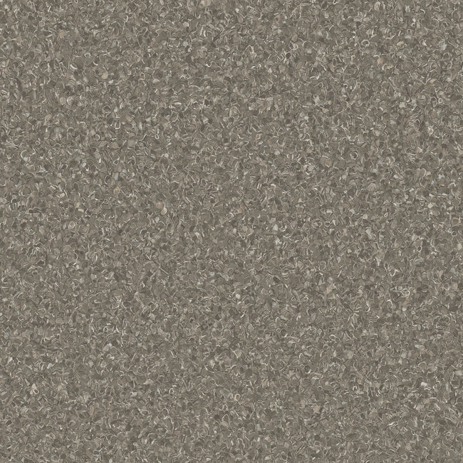 HOMOGENOUS/SHEET VINYL: Accolade Plus