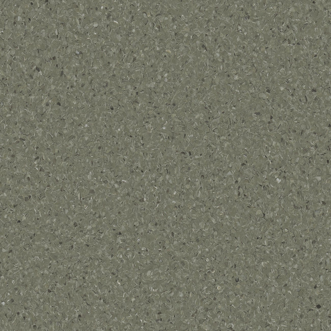 HOMOGENOUS/SHEET VINYL: Accolade Plus