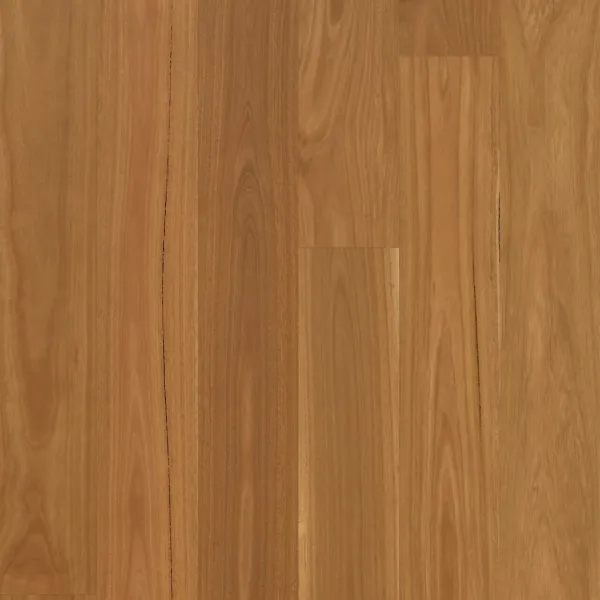 Swish Native 3MM