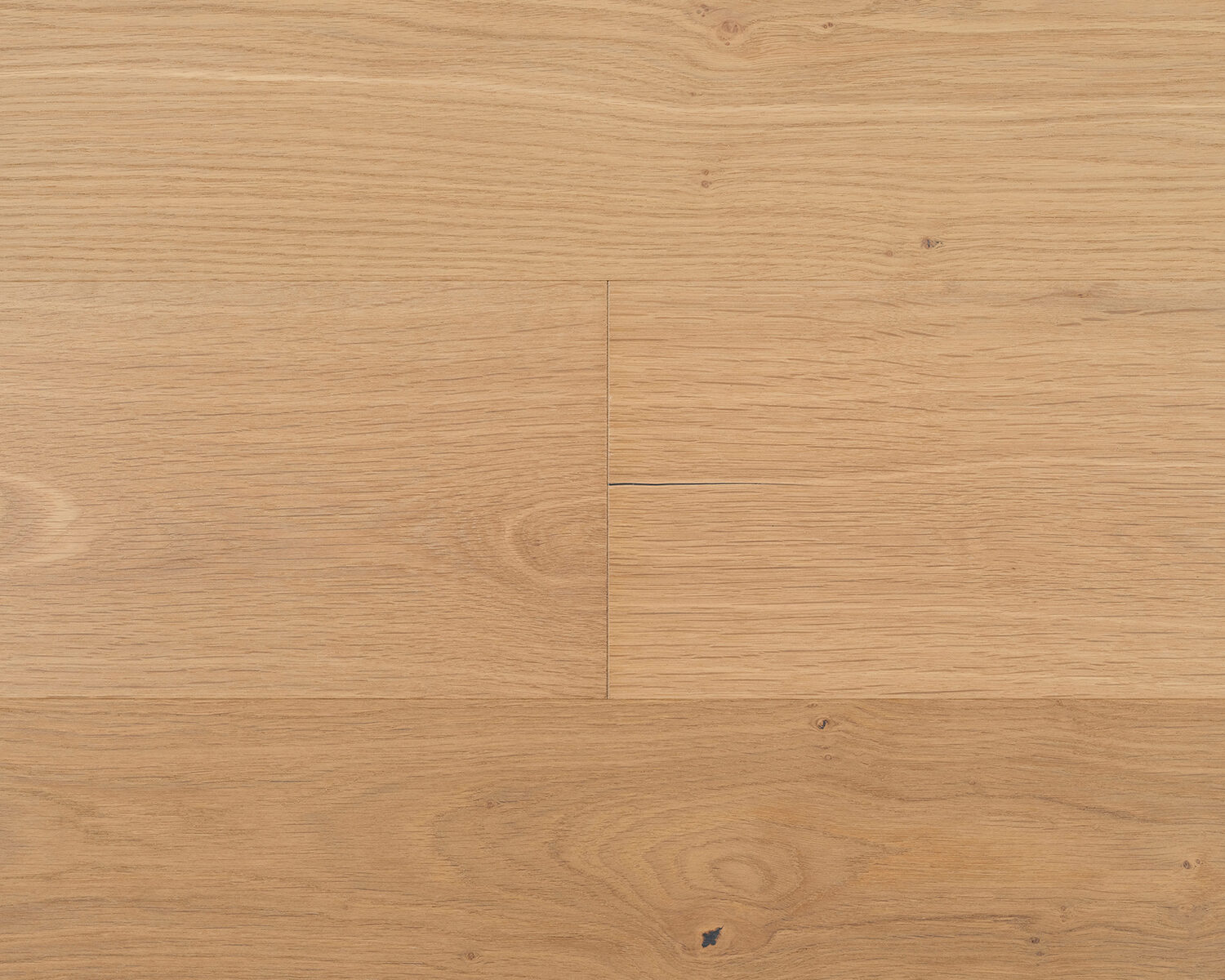 Oak: Elio
