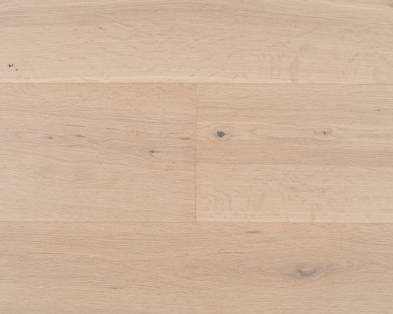 Oak: Elio