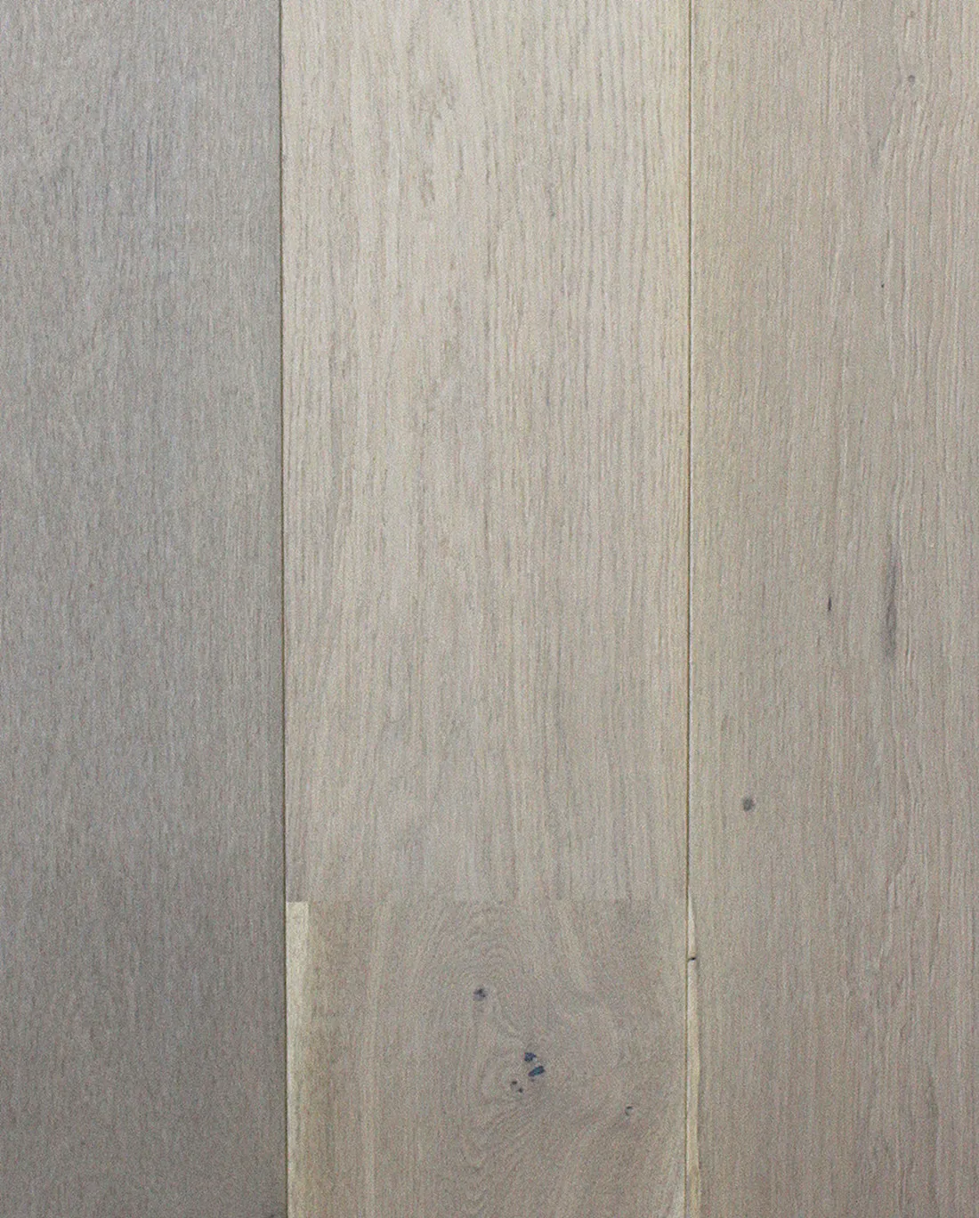 elegant-white-oak1