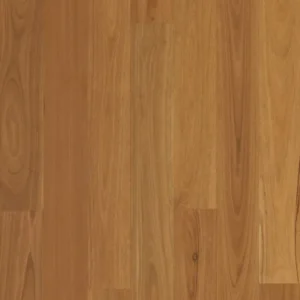 Australian Species-  Tudorwoods