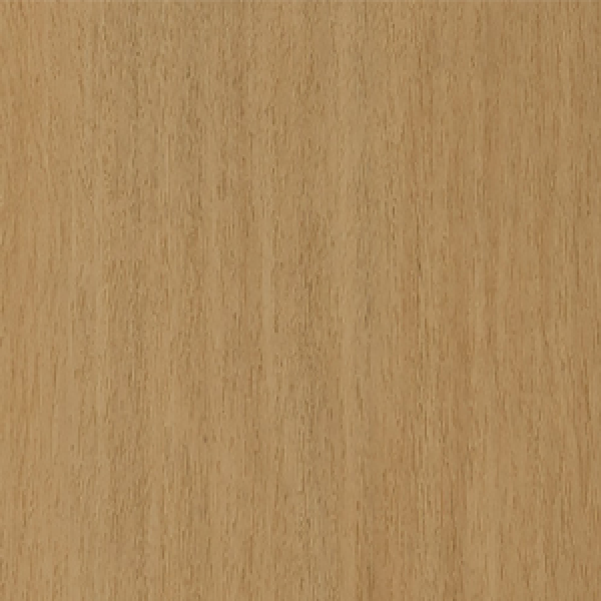 Blackbutt