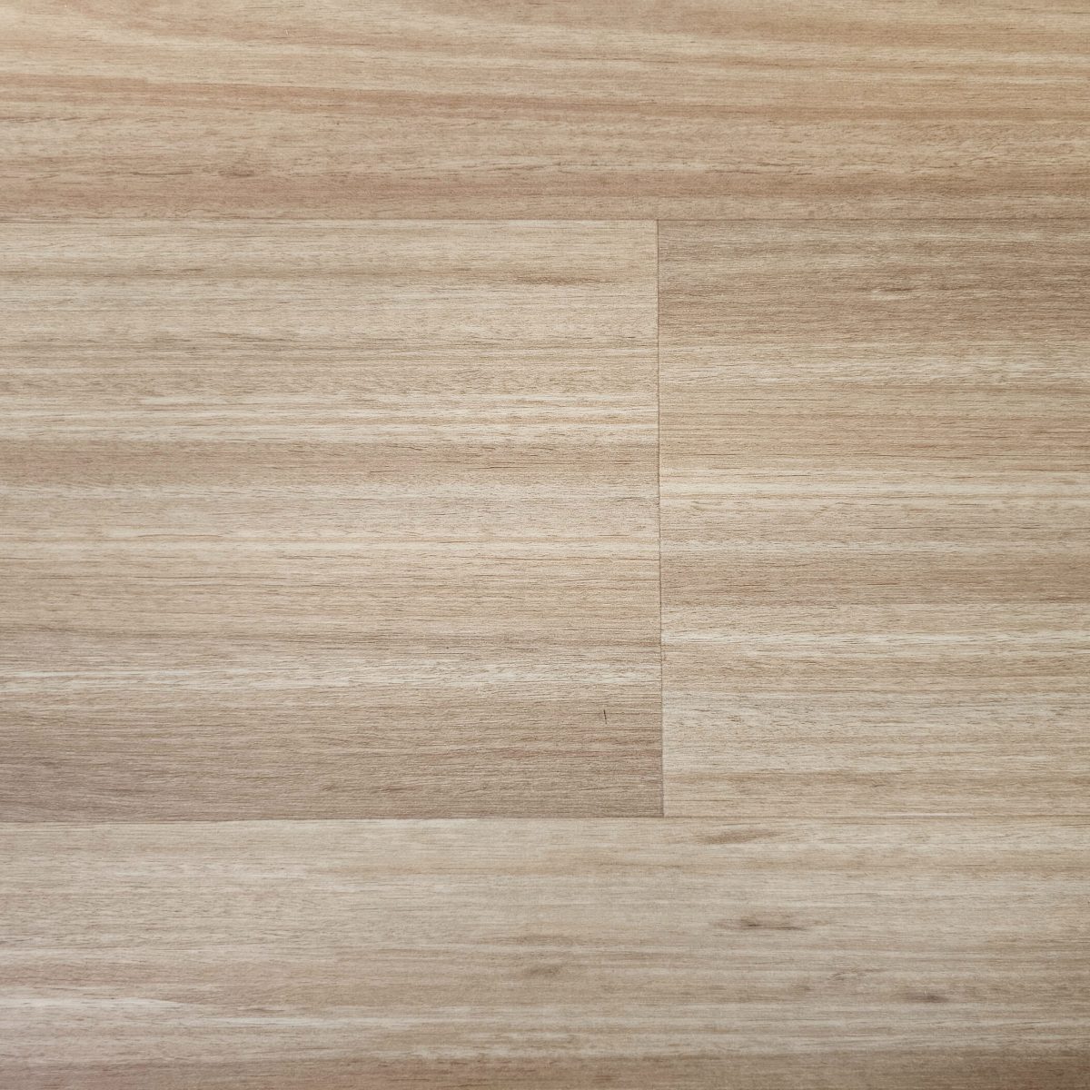 Blackbutt