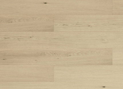 Blonde Oak