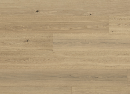 Himalayan Oak