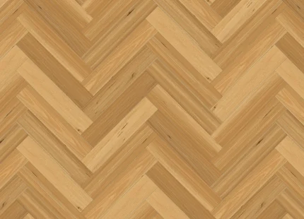 blackbutt