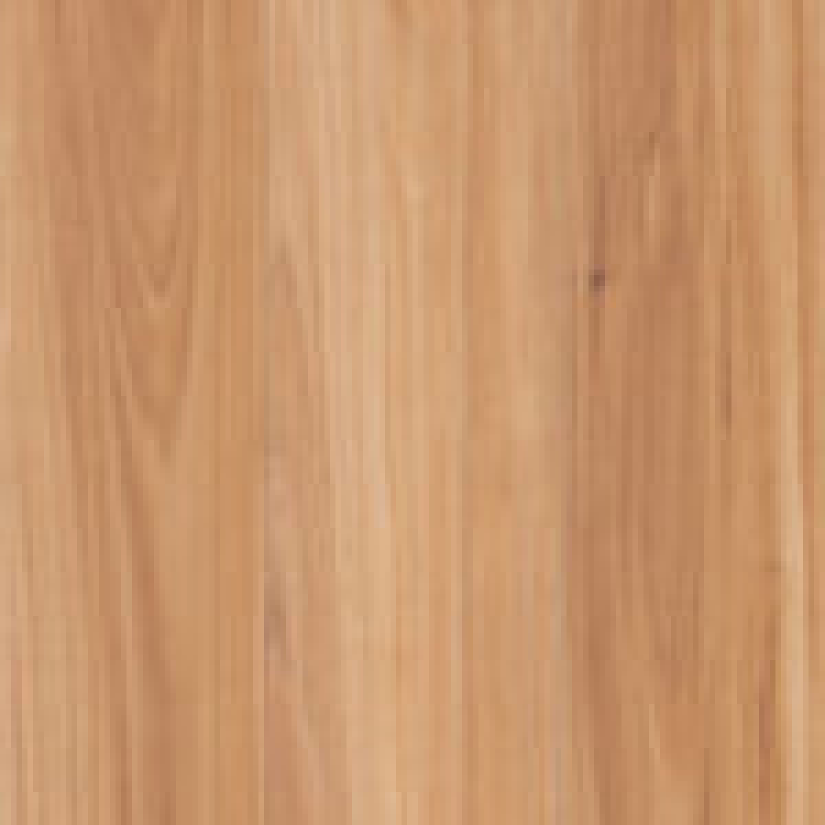 blackbutt